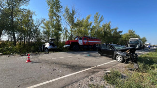 Четырёхлетний мальчик и 4 взрослых пострадали в смертельном ДТП в Воронежской области