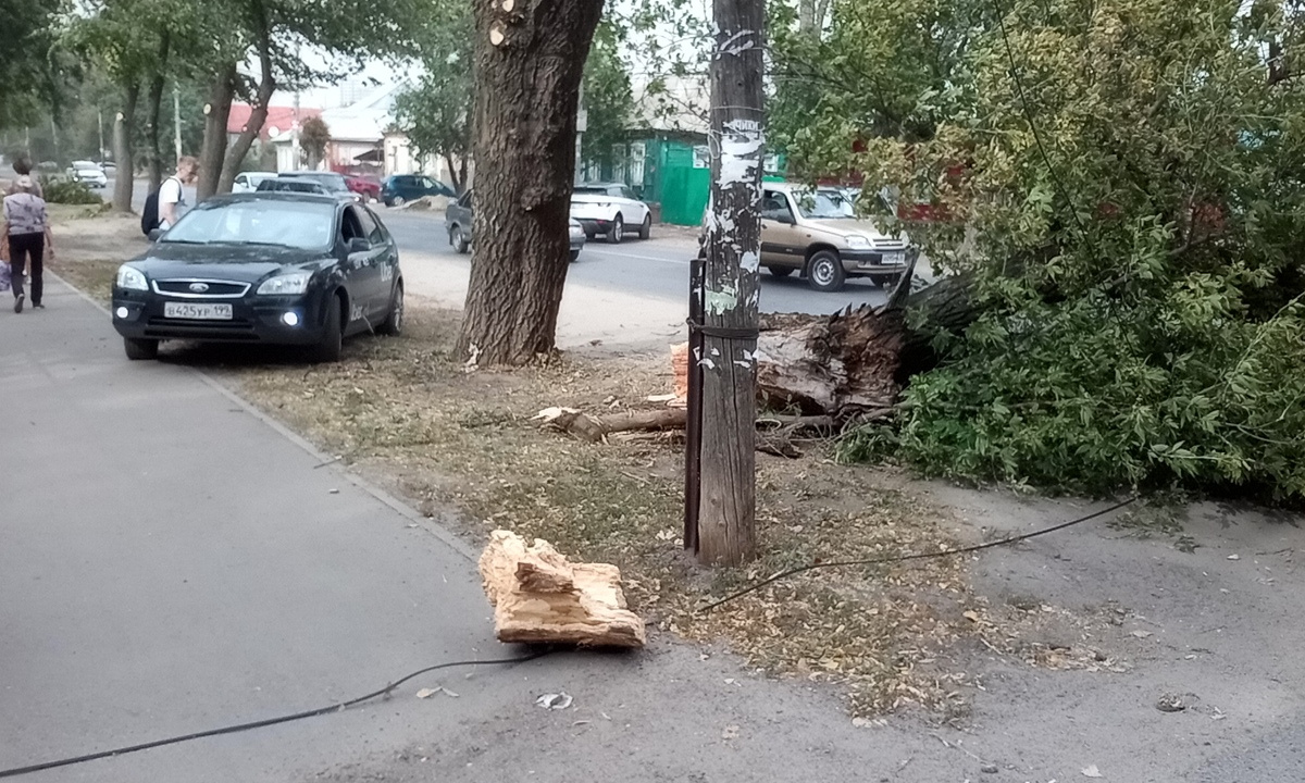 Ураган повалил огромные деревья в Воронеже – Новости Воронежа и Воронежской  области – Вести Воронеж