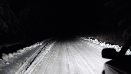 На трассе под Воронежем в крупном ДТП пострадали четыре человека