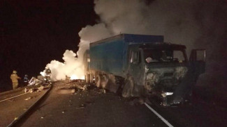 В Воронежской области 22-летний водитель заживо сгорел после ДТП 