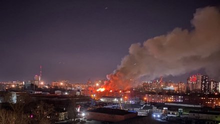 Воронежское МЧС назвало причину мощного пожара в пятиэтажке на Еремеева