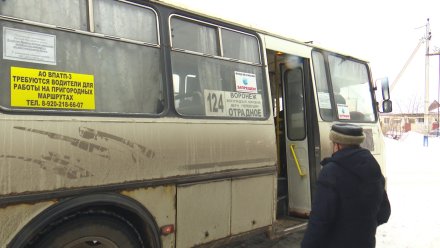 Более тысячи жителей Отрадного подписали петицию за запуск новых автобусов до Воронежа