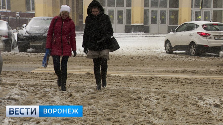 Прокуратура уличила коммунальщиков в негодной уборке снега в центре Воронежа