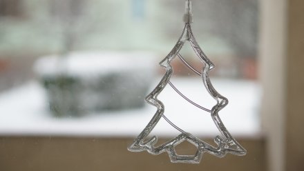 Выходные в Воронеже будут снежными, морозными и ветреными