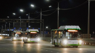 В Воронеже появились восемь автобусов с кондиционерами 