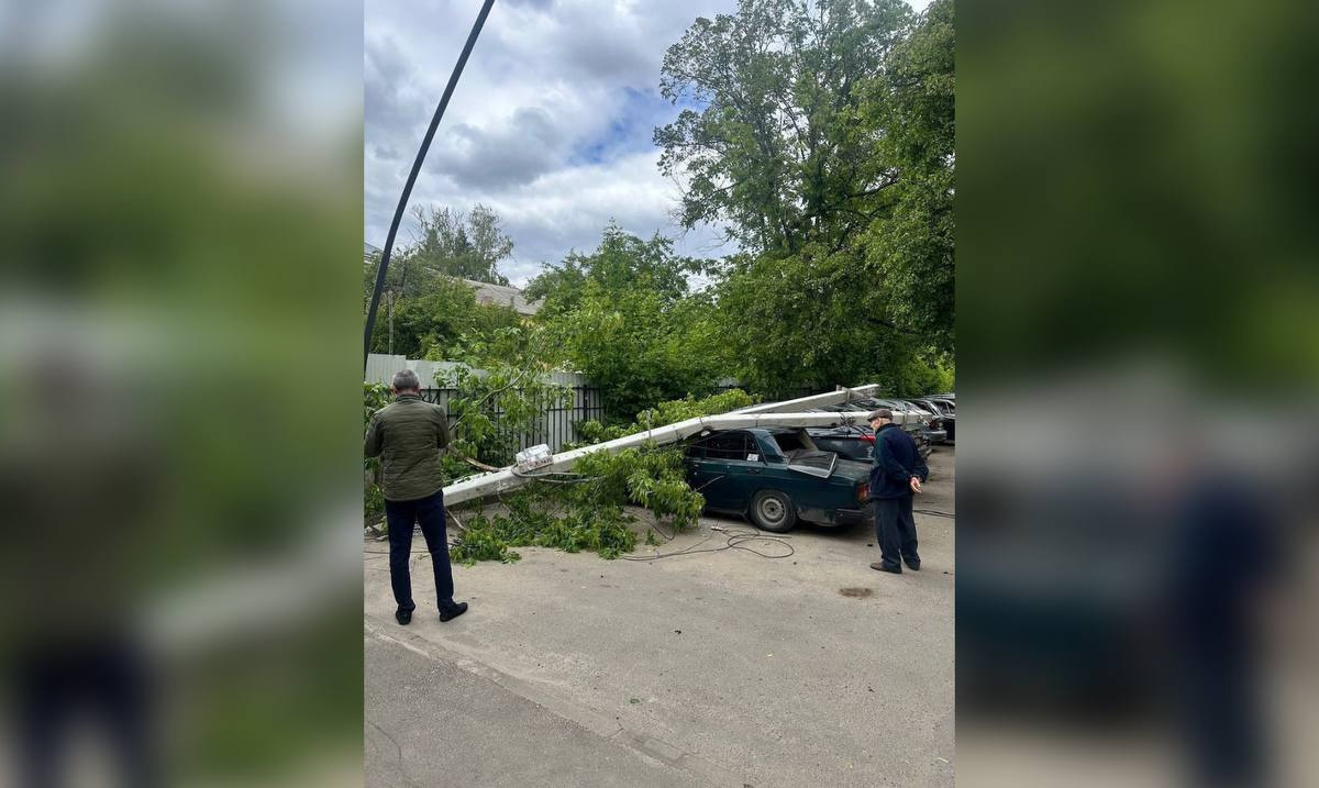 В Воронеже мусоровоз повалил столб на припаркованные машины – Новости  Воронежа и Воронежской области – Вести Воронеж