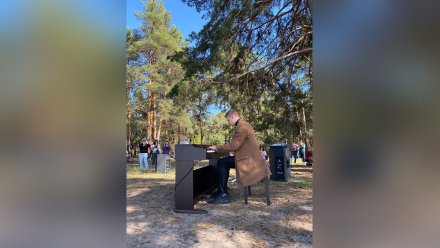 Пианист устроил концерт посреди деревьев на берегу Воронежского водохранилища