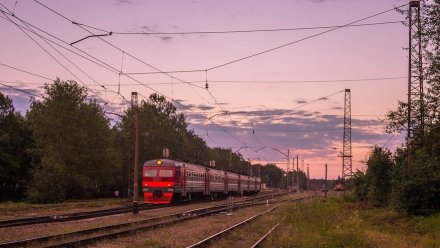 Между Воронежем, Белгородом и Курском запланировали пустить поезд