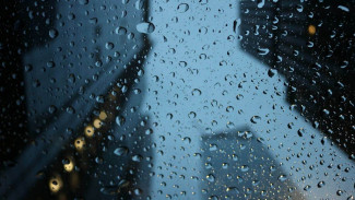 Синоптики пообещали воронежцам потепление до +5 в выходные