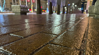 В Воронеже почти 400 человек пострадали от гололёда