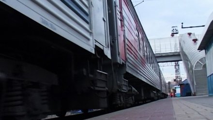 На двухэтажный поезд «Воронеж – Москва» начали продавать невозвратные билеты