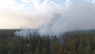 В Воронеже из-за опасности лесных пожаров дежурит вертолёт