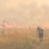 В 15 районах Воронежской области установили чрезвычайный класс пожарной опасности
