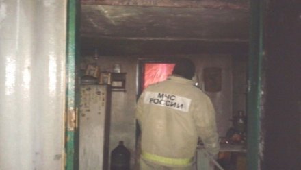В Воронежской области вспыхнул газовый баллон в жилом доме: пострадали двое