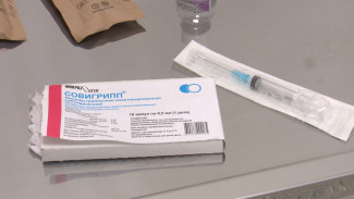 Пик заболеваемости гриппом в Воронежской области спрогнозировали на декабрь и январь