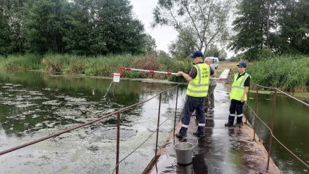 Воронежское предприятие обязали выплатить почти 400 тысяч за слив стоков в реку Усмань