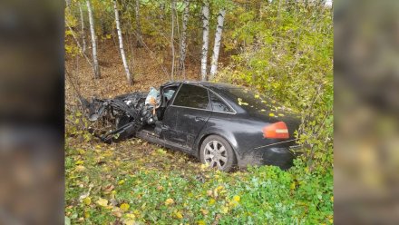 В Воронежской области в ДТП пострадал 17-летний парень за рулём Аudi А6