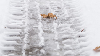 Воронежскую самбистку нашли повешенной в лесу в Советском районе