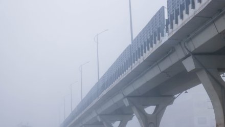 Жёлтый уровень опасности объявили в Воронежской области из-за тумана в мороз