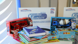 «Единая Россия» запустила Всероссийскую благотворительную акцию «Коробка храбрости»