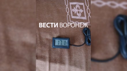 Воронежская УК навестила замерзающую в квартире пенсионерку