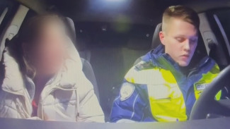 Воронежские полицейские задержали пьяную автомобилистку в канун Нового года
