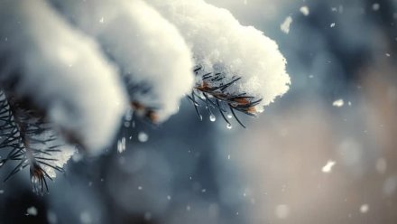 Синоптики рассказали, когда вернутся мощные снегопады в Воронежскую область
