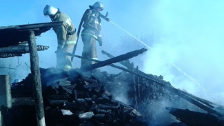 Трупы сестёр нашли в сгоревшем доме в воронежском селе