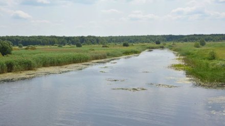 Экологи проведут масштабное обследование Воронежского водохранилища
