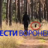 Питбуль без намордника набросился на мать с грудным ребёнком в Воронеже
