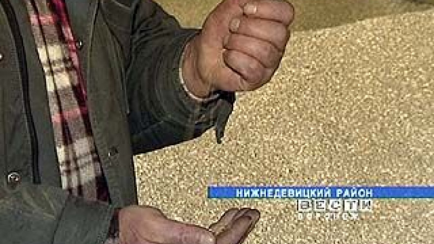 Сборы урожая зерновых в Воронежской области приближаются к 4 миллионам тонн