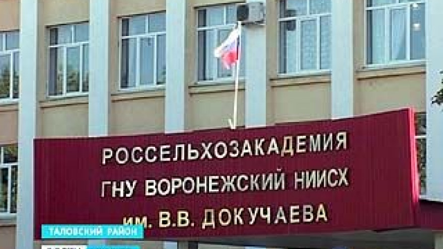 Институт имени Докучаева повысил статус до зонального