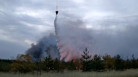 На охваченную огнём Воронежскую область с воздуха сбросили ещё 500 тонн воды
