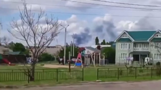 Воронежцы сообщили о пожаре у реки Песчанки