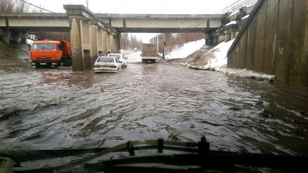 Новой службе для борьбы с потопами на улицах Воронежа доверят и ремонт дорог