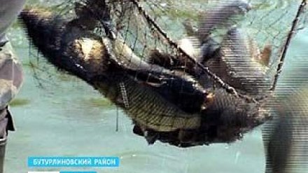 В Бутурлиновке теперь можно порыбачить совершенно бесплатно