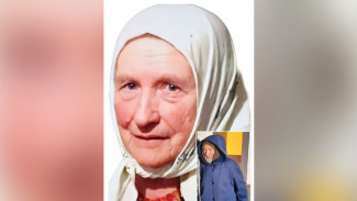 Воронежцев попросили помочь в поисках 83-летней старушки из Белгородской области