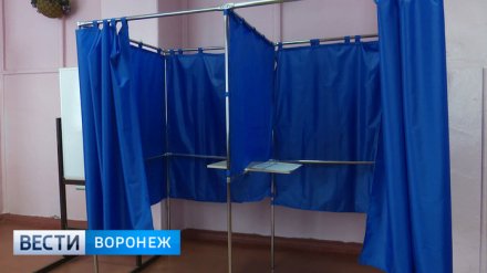 Отпуска и огороды. Почему Воронежская область показала самую низкую за четыре года явку
