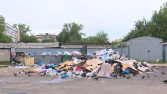 Воронежцы пожаловались на гору мусора на улице Лидии Рябцевой