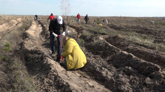 В Воронежской области запланировали увеличить площадь «Сада Памяти»