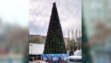 В Воронеже поставили первую новогоднюю ёлку