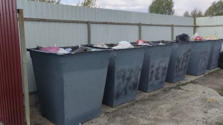 Западные флаги на мусорных баках в воронежском селе закрасили