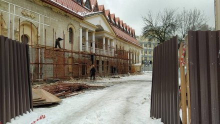 Воронежские общественники попросили губернатора остановить ремонт театра кукол