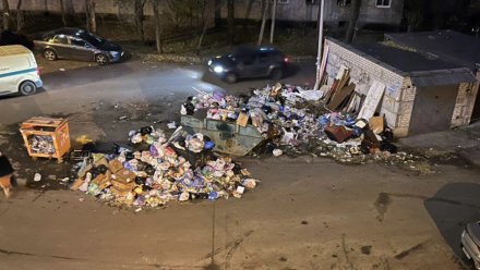 Воронежцы в очередной раз пожаловались на огромную свалку в центре города