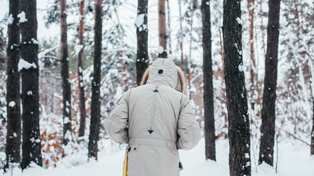 Прогноз погоды в Воронеже на 15.01.2025