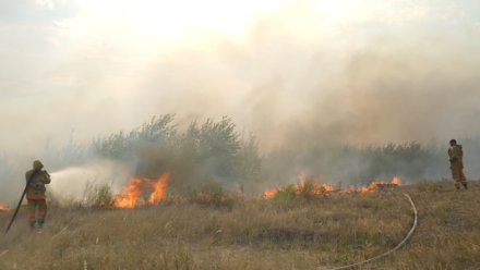 В Воронеже усилили патрулирование лесов из-за угрозы ландшафтных пожаров