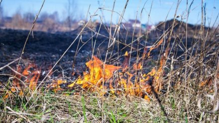 В Воронежской области почти 100 населённых пунктов окажутся под угрозой пожаров