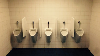 Ученики воронежской школы пожаловались Мизулиной на запрет посещать туалеты на уроках