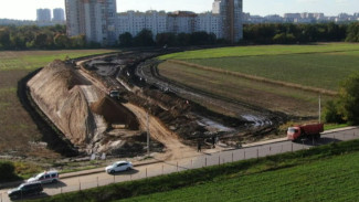 В Воронеже начали возводить 4 надземных перехода