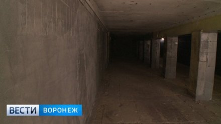 Власти Воронежа объявили конкурс по поиску концессионеров для 4 подземных переходов
